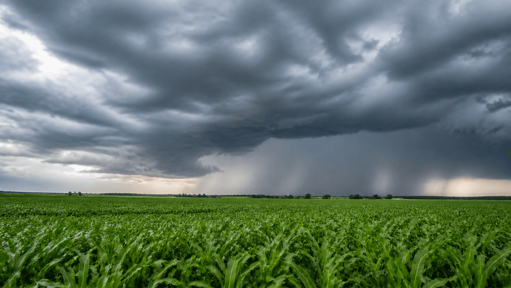Chuva deve atingir principais regiões agrícolas do país até sexta-feira