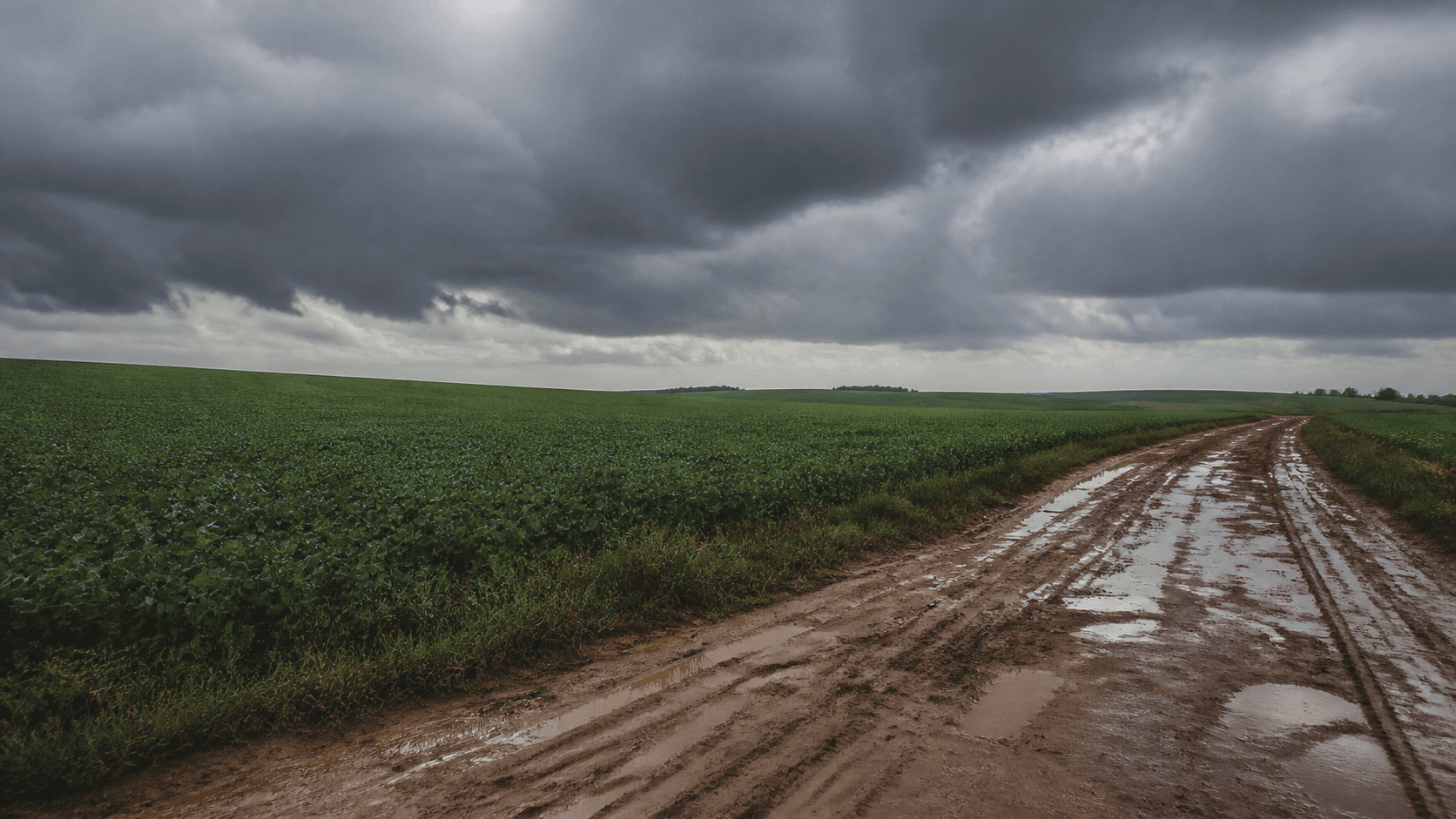 Chuva pode chegar a 103 mm em 48 horas em Mato Grosso do Sul