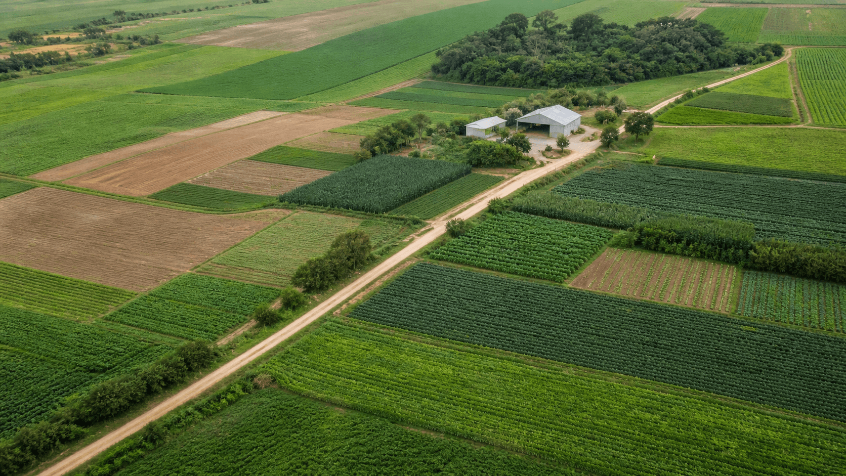 Brasil apresenta em Roma resultados da ICARRD+20 ao Comitê de Segurança Alimentar Mundial