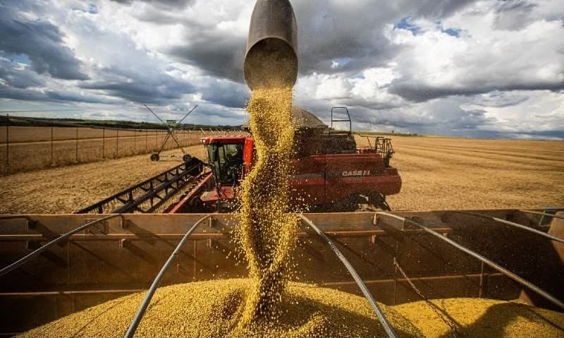 Serasa calcula potencial de perda da soja com El Niño; ouça o comentário