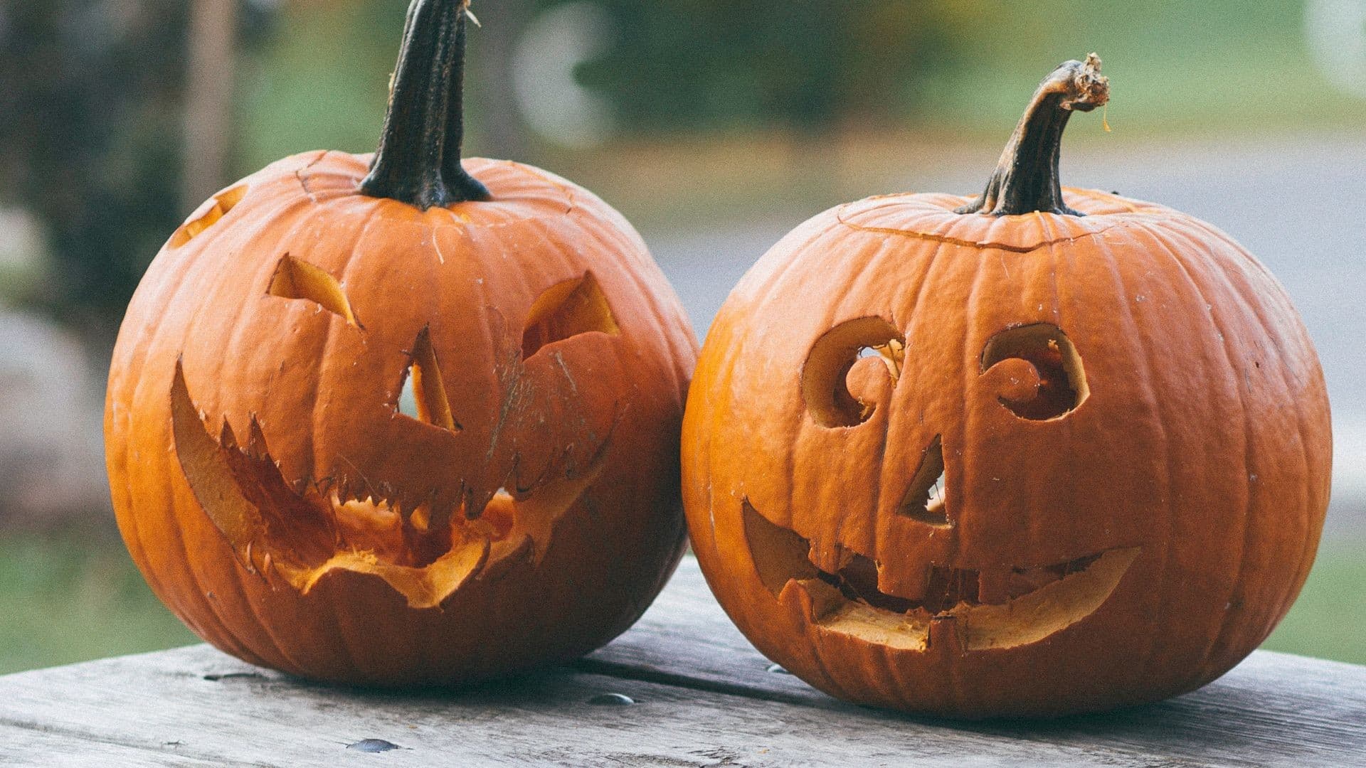 Por que a abóbora é um símbolo do Halloween? Entenda a tradição