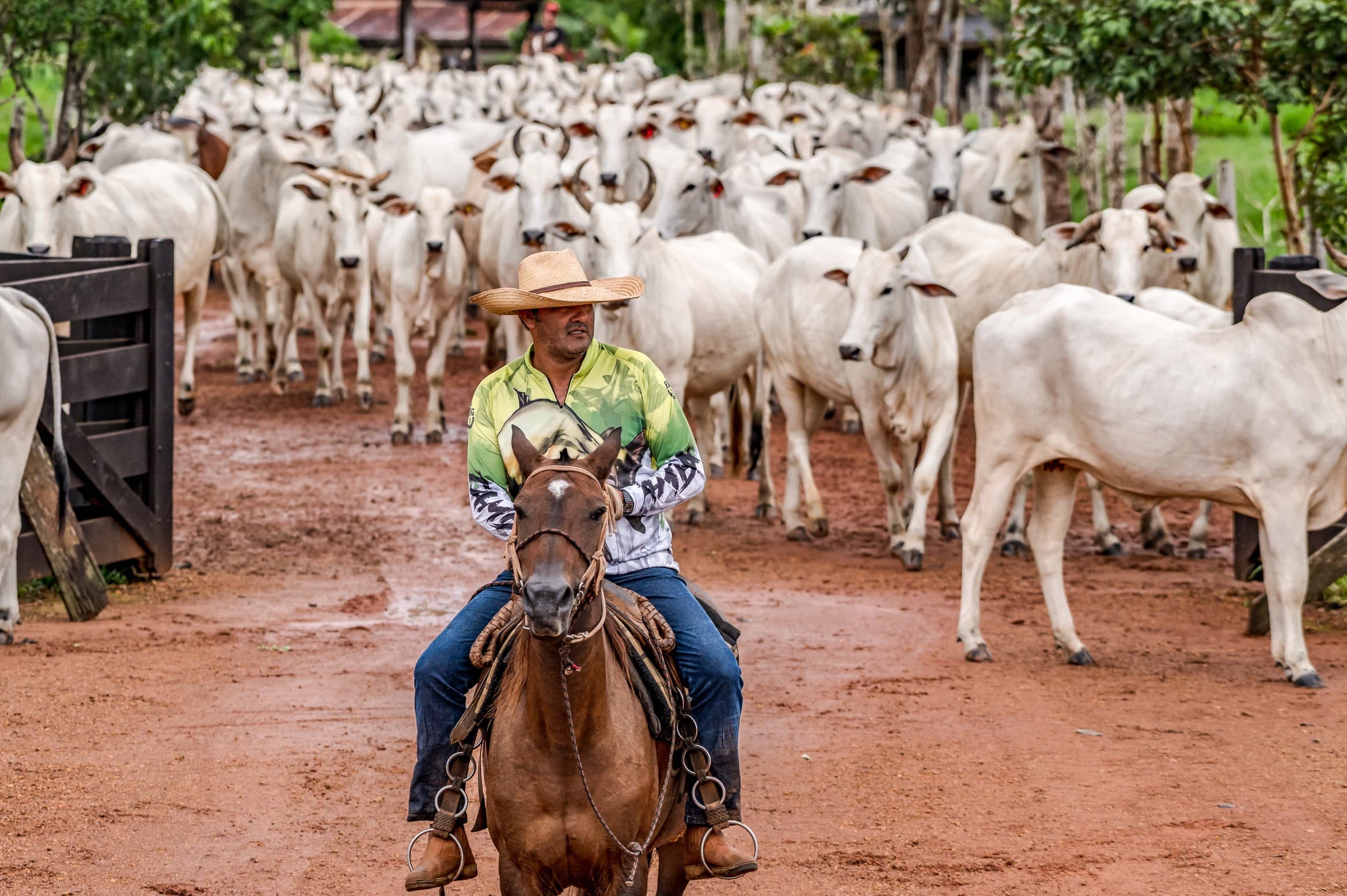 Número de trabalhadores no agronegócio brasileiro atingiu recorde