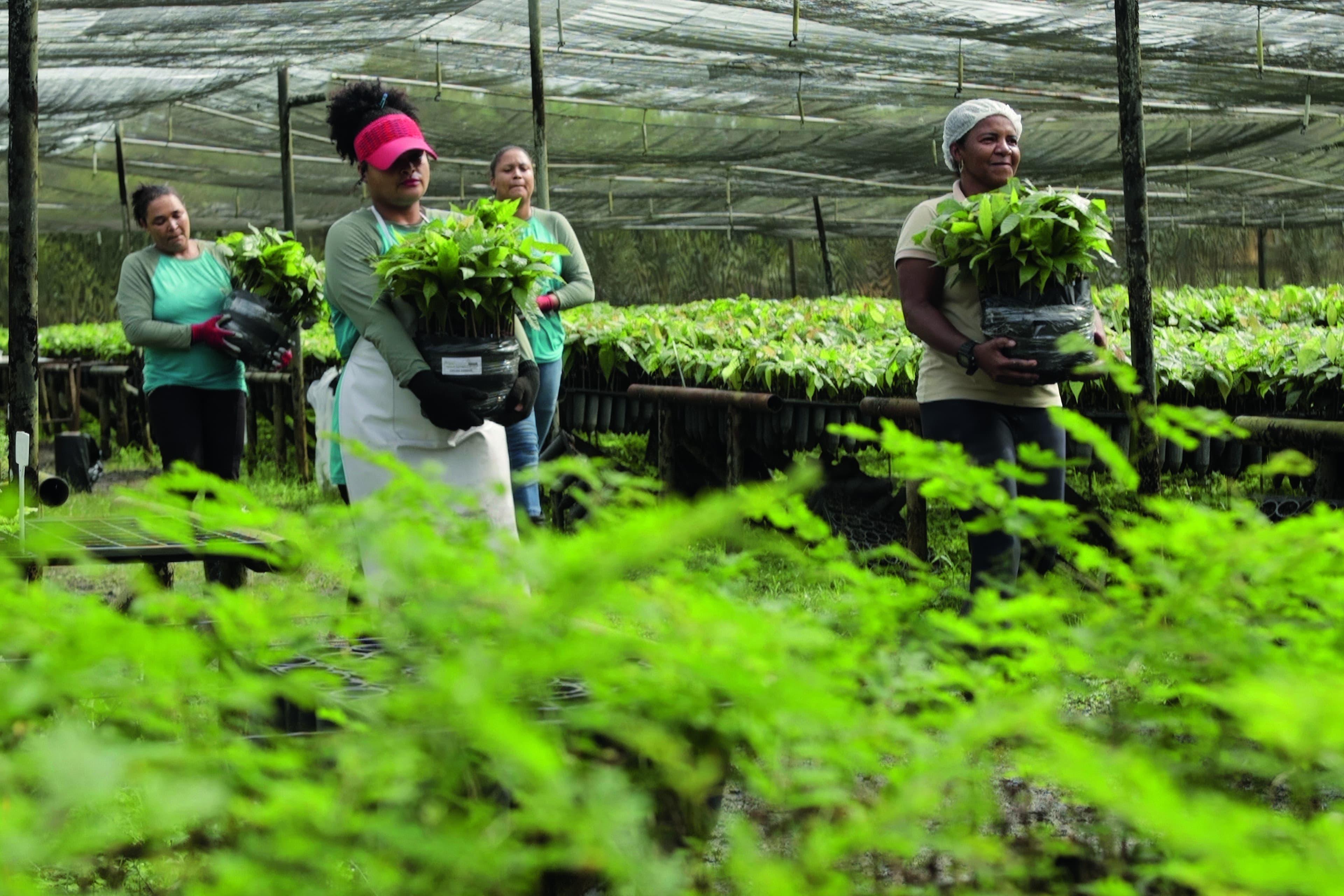 O potencial das mulheres do agro de elevar o PIB global; ouça o comentário