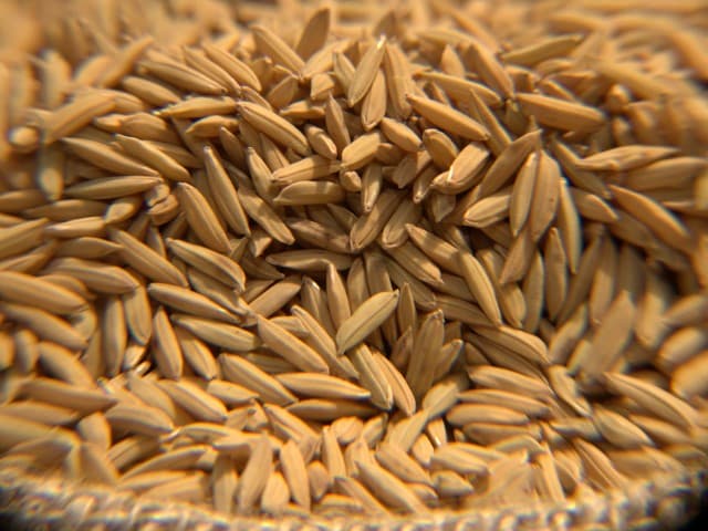 Exportações brasileiras de arroz cresceram 3,3% no terceiro trimestre