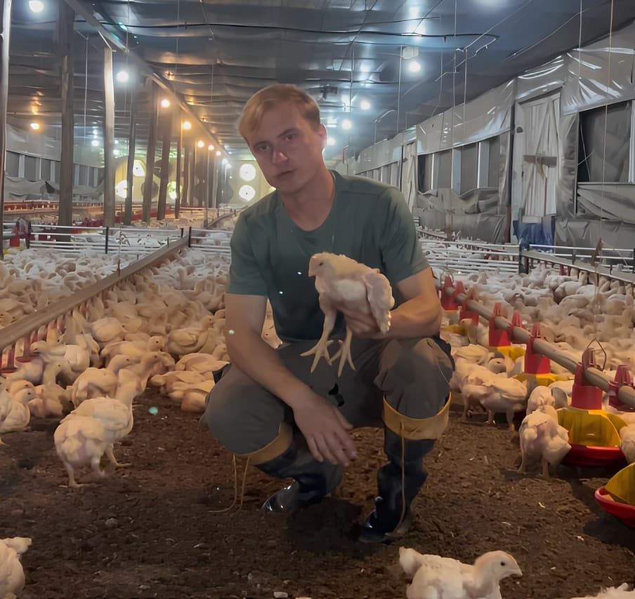 'Especialista em pintos': avicultor viraliza com vídeos de humor sobre rotina em granja