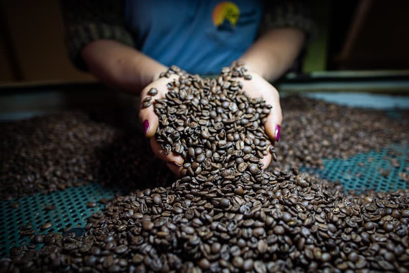 Café estanca desvalorização em Nova York causada pela alta do dólar