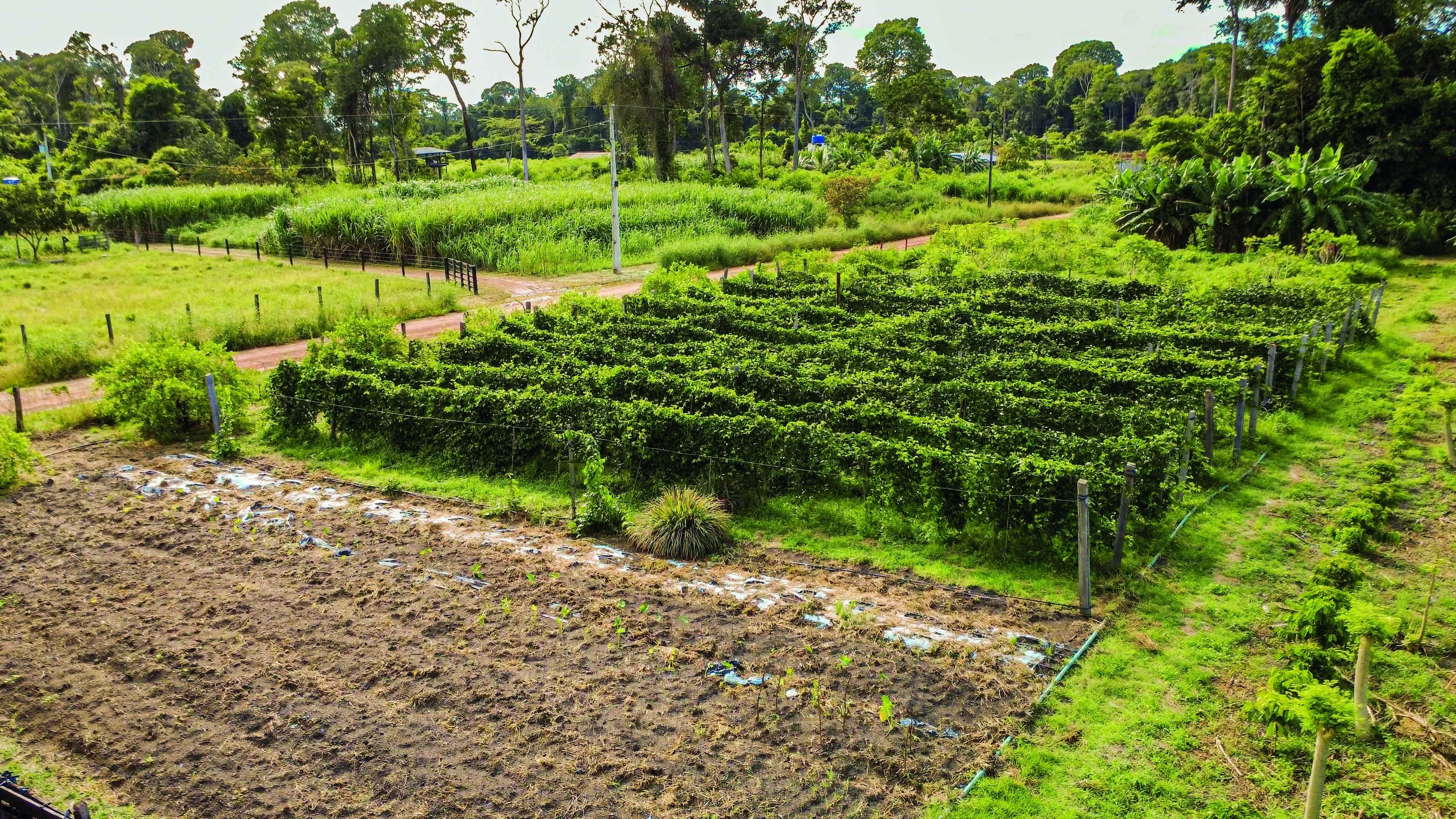 O que Lula e Flávio Bolsonaro propõem para a Agricultura Familiar