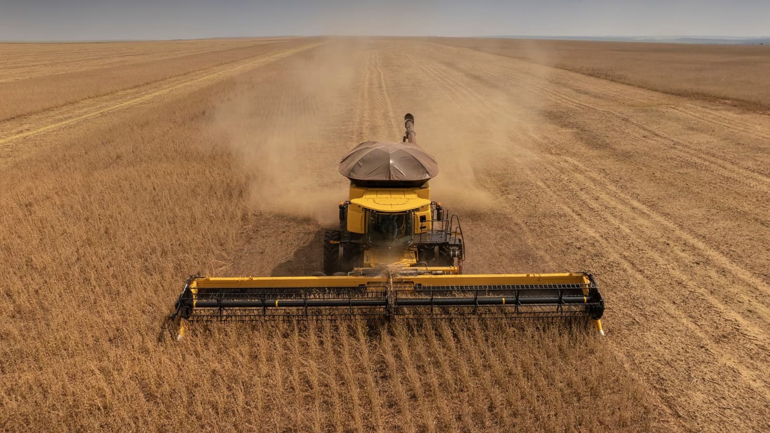 Dia da Agricultura: Brasil celebra a força do campo que abastece o país e conquista o mundo