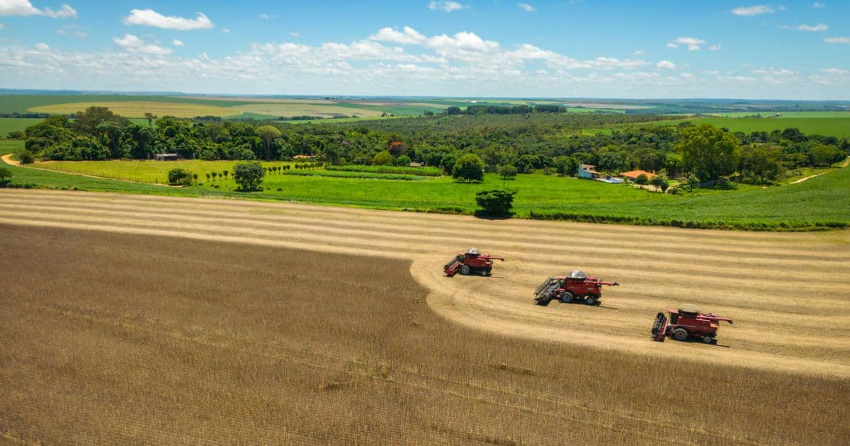 Agro bate recordes, mas produtor está sem dinheiro: o que está acontecendo no campo?