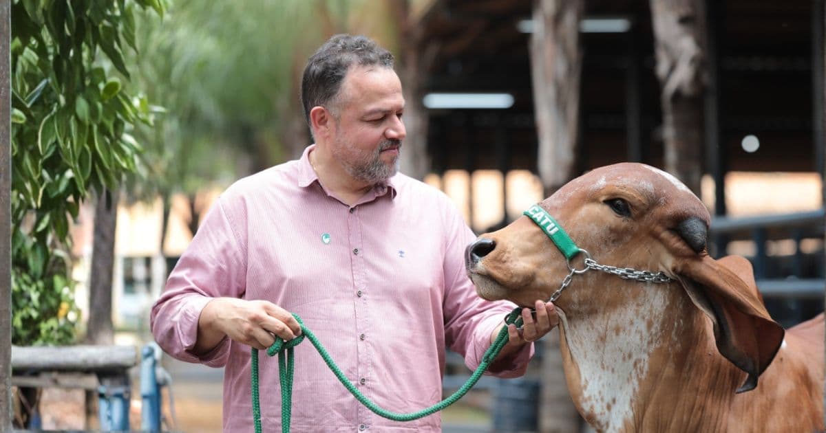 “Não queremos nos tornar um Holandês”, diz presidente da ABCGIL sobre o futuro do Gir Leiteiro